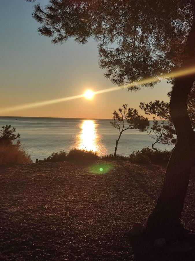 Rincon De Mar Calafat