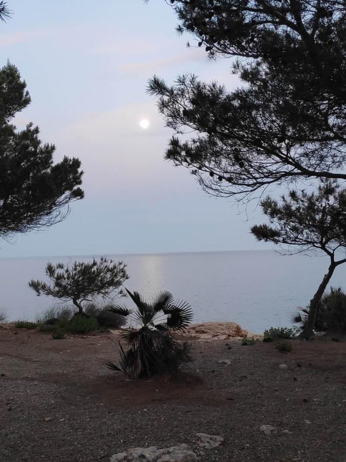 Appartamento Rincon De Mar *